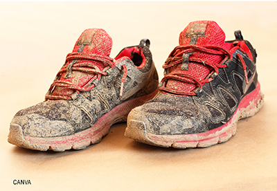 photo of a pair of muddy shoes